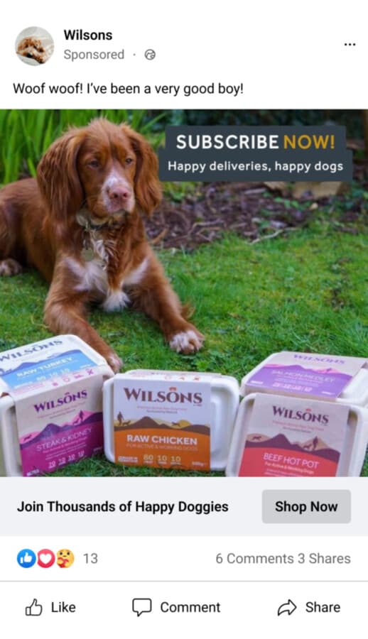 Wilsons Social Ad - Before Adjyl Design Critique